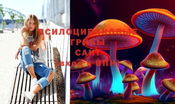 тгк Беломорск