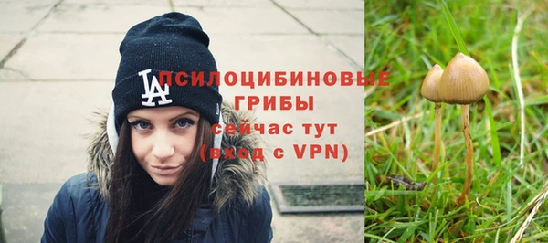 тгк Беломорск